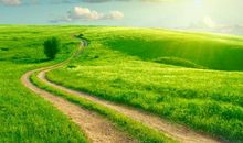 幸运常登门，好运一整年！这3大生肖未来一年财神送财，运势如虹