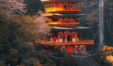 杨清华一周生肖运势（12.2-12.8）