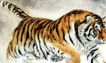 1月份这几大生肖，霉运已过，好运到来，财运亨通