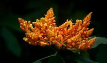 2020年1月开始，运势上涨，贵人青睐，财神眷顾，富足有余的星座