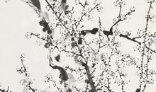 2020年4月29日四月初七生的女孩是什么命，取什么名字有涵义