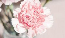 在5月下旬，端正态度，紧抓机遇，乘风破浪的三大星座