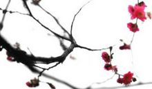 2020年农历九月二十八出生的女孩怎么起名字，五行属什么