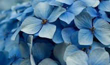 苦尽甘来，贵人登门的生肖，未来3个月财路数不清，前途一片美好