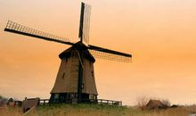 卯时出生的人2020鼠年桃花运好吗，遇到心动之人的可能性不高