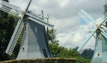 辰时出生的人2020鼠年桃花运好吗，有望遇上心动之人