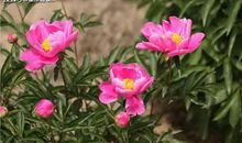 在5月下旬，不再纠缠，分手快乐，各自安好的三大星座