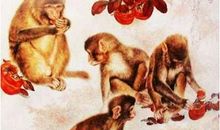 智商超高，今年能够扭转颓势，迎接财神进家门的4大生肖