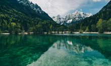 1月12号起，四生肖财星入运，好运接二连三，迎来金鼠送财