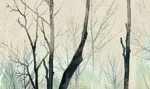 1989年生的31岁生肖蛇人2020年运势好吗，情感顺利、桃花丰富