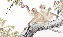 未来88天双喜临门，桃花财运两相旺的三个生肖，有你吗？