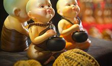 2020年开始，财运如虹，不缺财帛，不缺福气的四个生肖