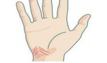 女子右手掌纹图解 有什么影响