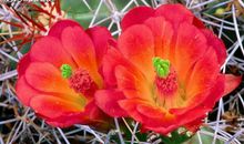 5月16日星座运势：双子刮目相看，天秤目标明确，射手迎接挑战