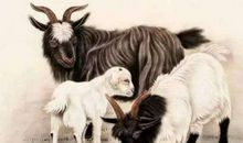 玄清风水命理：未来2年运势上涨，工作事业大展宏图，收入一路攀升的3大生肖