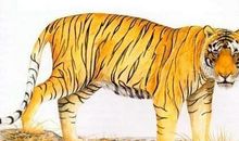 发财机会到了要把握，恭喜3生肖生活节节攀升，明天开始，喜事不停