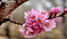 在5月下旬，为梦拼搏，坚持到底，未来可期的三大星座