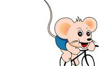 属鼠2020年本命年适合穿什么颜色，穿红色可以吗