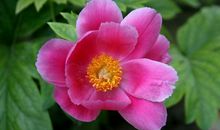 和金牛座相处太累了，那就放手吧