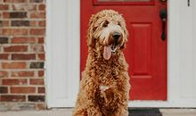 划重点，如何给四大血型男挑选礼物