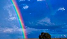 酉时出生的人2020鼠年桃花运好吗，男性桃花运更畅旺