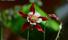 巨蟹座为什么会选择和你分手？