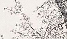 2020年农历七月二十三出生的男孩如何起名字，鼠宝宝取名宜用字