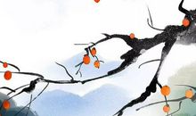 生肖属龙妈妈和生肖属猪爸爸不适合生什么属相的宝宝