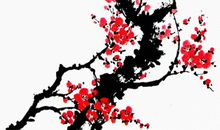 1964年生的56岁生肖龙人2020年运势好吗，桃花旺盛，把握良机