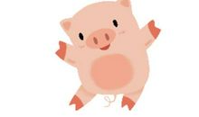 生肖猪男人与其他属相女人结合的婚姻状况如何，好不好？