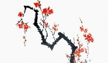 1976年生的44岁生肖龙人2020年运势好吗，凶星来访小心小人