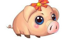 生肖猪女人与其他属相男人结合的婚姻状况如何，好不好？