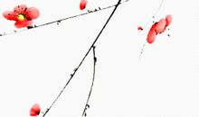 1988年生的32岁生肖龙人2020年运势好吗，身边小人频生