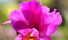 未来一周，运势一帆风顺，4属相收获好运，贵人如云，生活美好