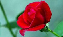 亿万横财发不停，事事如意的生肖，11月起富贵连连，再不缺钱花