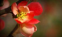 恭喜四生肖收获幸福人生，11月10号开始事业财富双丰收，进步连连！