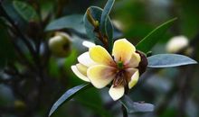 11月14号开始吉星庇佑，鸿运当头照好运到，财运旺盛的四属相