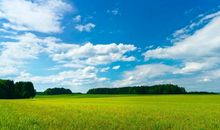 11月8日苦尽甘来，大有福报，绝处逢生的四大生肖