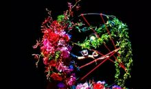 2020年生肖属羊的几月可以订婚？这个月订婚可提升财运