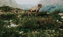 女巫店一周星座运势（12.2-12.8）