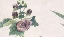 2020年农历七月二十四出生的男孩起什么名字寓意好，五行属什么