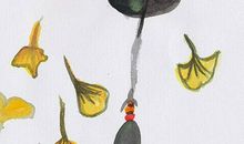 2020年生肖属牛财运方位，正印位方向易得长辈关照