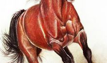 3生肖女惹不起，生来好命，贵人扶助，生活越来越幸福