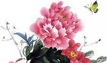 2020年4月20号三月二十八生的人性格命运解析，五行八字查询