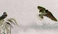 2020年生肖属鸡财运方位，卯木在正东方为偏财方