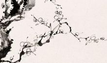 2020年农历七月初三出生的男孩怎么起名字，鼠宝宝取名宜用字