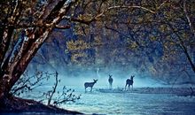 下个月开始，运势翻天好事多，财运官运双双起飞的三大星座