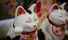 EVA塔罗：有些人天生幸运神眷顾这辈子，你有什么样好运打不走