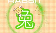 丢三落四 这些生肖总是在找东西