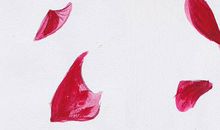 生肖属猪人2020年要注意什么，捂紧你的钱包快跑